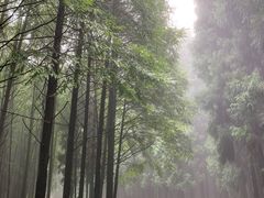 -山王坪喀斯特国家生态公园