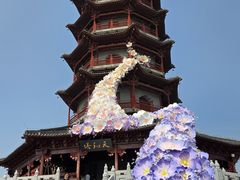-江苏三台山国家森林公园