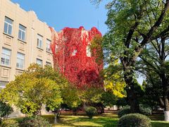 -辽宁大学(崇山校区)