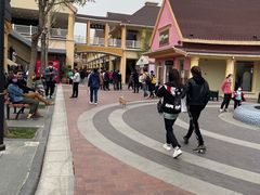 -COACH蔻驰(赛特奥特莱斯店)