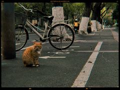 -颐和路民国时期公馆风貌区