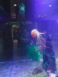 -酷嗒动物文化乐园(cutezoo西溪乐天城店)