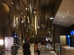 -武商摩尔影城(国广IMAX激光店)