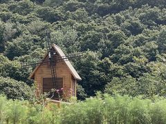 -北京张裕爱斐堡酒庄