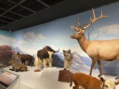 -陕西自然博物馆