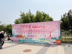 -太阳宫公园