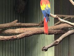 -费瑟代尔野生动物园