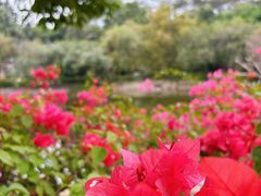 -烈士陵园(地铁站)