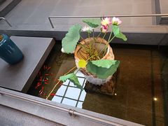 -单家老院·院子里的青岛菜(沙子口店)