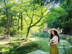 -长白岛森林公园