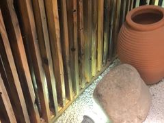 -临家闽南菜(翔安店)