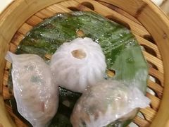 -龙禧渔村酒楼