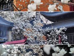 -灵谷景区