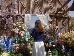 -三圣花乡旅游区