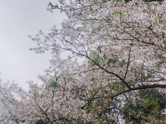 -杭州少年儿童公园