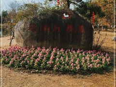 -鹅湖玫瑰文化园