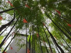 -金水泊山庄·花椒鸡(铁山坪店)