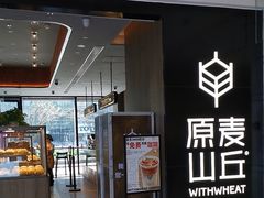-远洋未来汇