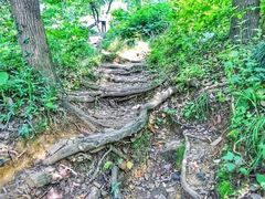 -首义公园-武昌蛇山烈士祠