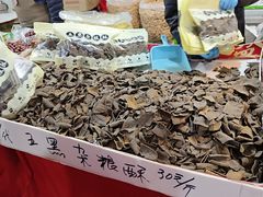 -天津梅江会展中心
