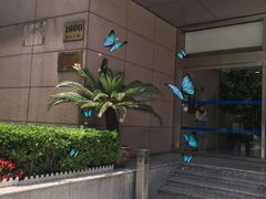 -上海机场-城市航站楼