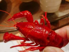 -一棠龙虾•王牌虾球(楚河汉街店)