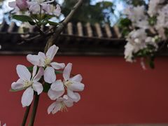 -国家植物园