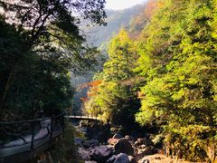 -花岩国家森林公园