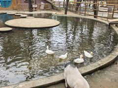 -南戴河国际娱乐中心