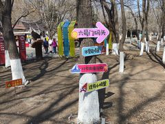 -长白岛森林公园