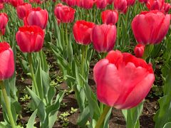 -长春公园(普阳街道)