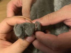 -北京博爱动物医院有限公司