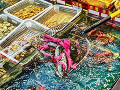-东江海鲜大排档·潮汕菜·砂锅粥