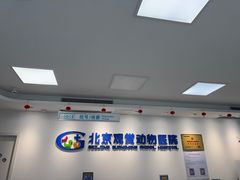 -北京观赏动物医院·24小时大型综合·猫专科·异宠专科