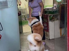 -YCHL Studios健身工作室(市二宫店)