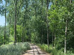 -合肥滨湖国家森林公园