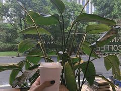-隐琢咖啡(汉街店)
