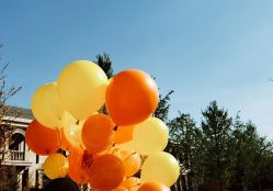 -卡卡喜糖伴手礼·商务礼宝宝礼·婚礼用品