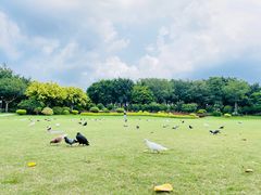-白鹭洲公园