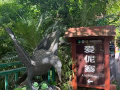 -西双版纳原始森林公园