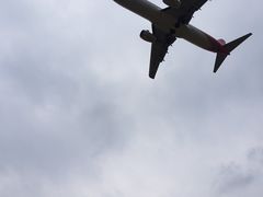 -空港花田景区