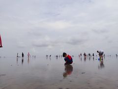 -南汇嘴观海公园