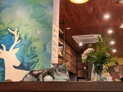 -咖法森林·咖啡  酒吧(天河店)