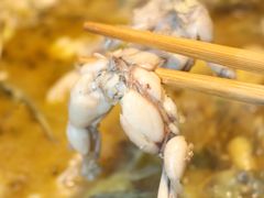 -石锅苗苗鱼(武汉首店)