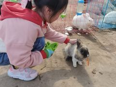 -前小桔亲子创意农场·草莓采摘·露营烧烤