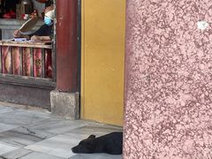 -九华山风景区月身宝殿