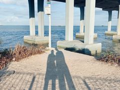 -宝安西湾红树林湿地公园