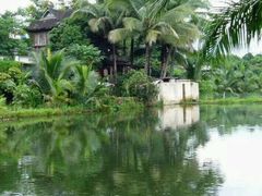 芋艿煲-阿英煲(凉城路店)