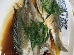 -台山美食一绝阿四台山黄鳝饭(阿四创作店)