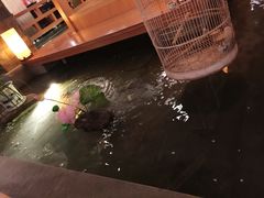 -松子料理(亮马桥店)